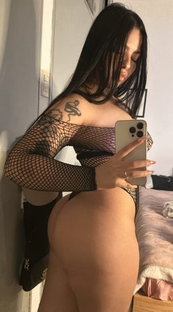 Experience Unforgettable Moments with Stella Night by Your Side